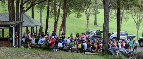 Camps | Tunnel Ridge Ranch Sunshine Coast